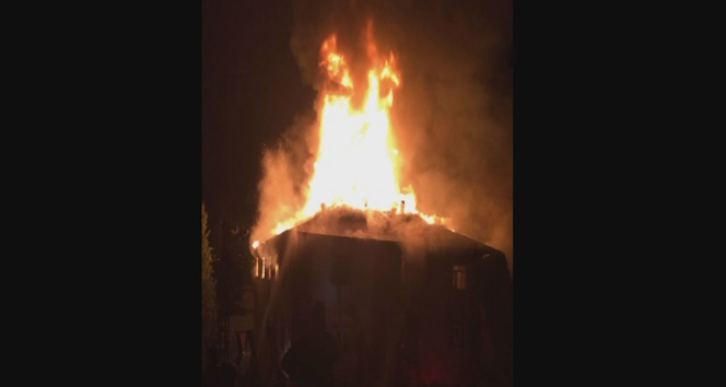 1853242.jpg 1853242.jpg