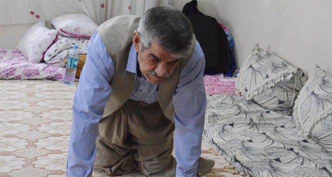 1868954.jpg 1868954.jpg