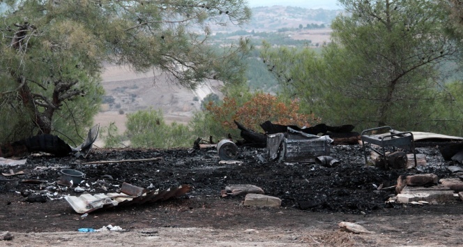 1868983.jpg 1868983.jpg