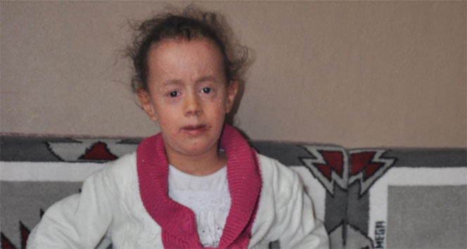 1890021.jpg 1890021.jpg