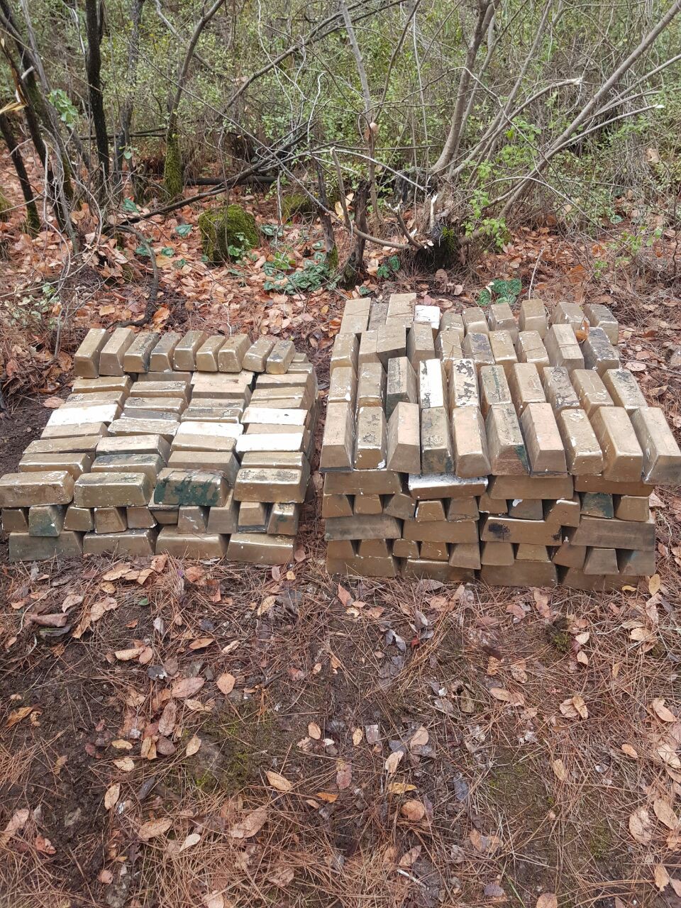 20161229aw942622_01.jpg 20161229aw942622_01.jpg