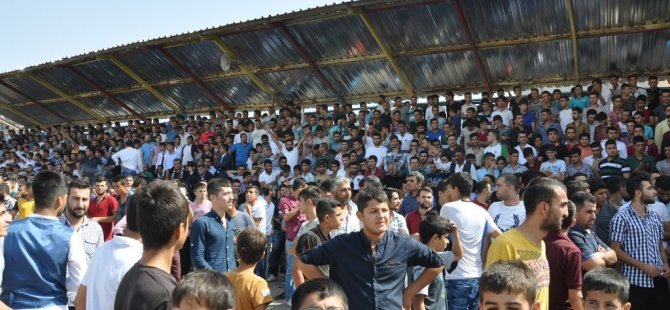 aw201101_02.jpg aw201101_02.jpg