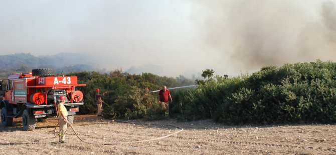 aw201252_02.jpg aw201252_02.jpg