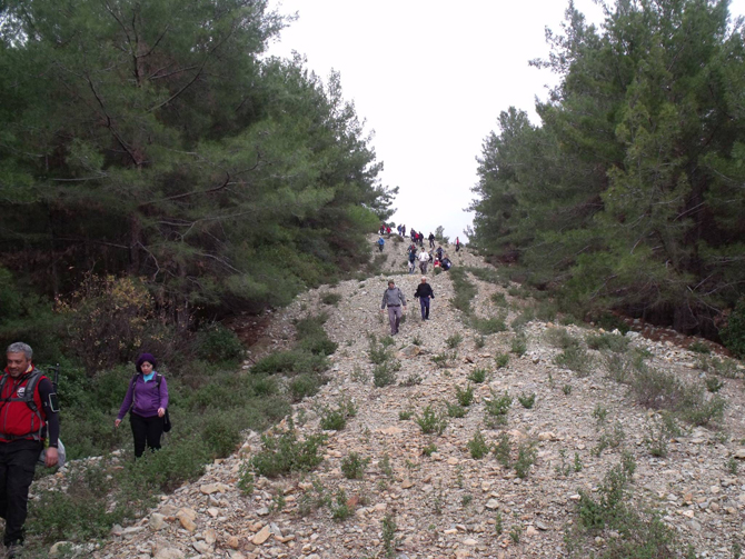 guldagi-yuruyus3.jpg guldagi-yuruyus3.jpg